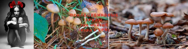 героин Армянск