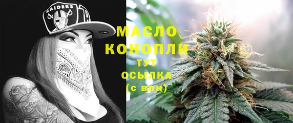 индика Балабаново